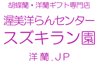 スズキラン園 洋蘭.JP