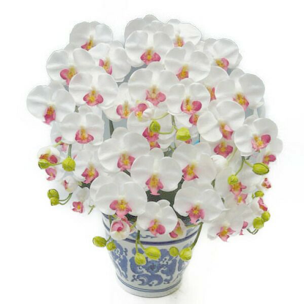 造花 光触媒 胡蝶蘭 ミディ Sサイズ 白赤(セミアルバ) 5本立ち テーブルサイズ