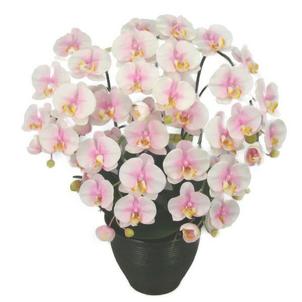 造花 光触媒 胡蝶蘭 大輪 さくらピンク(絞りピンク ぼかしピンク) Ｍ 5本立ち