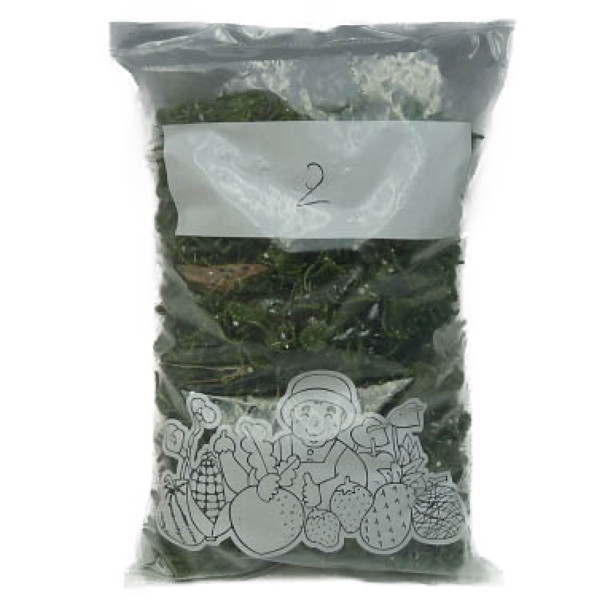 胡蝶蘭、洋蘭用茎止めクリップ 菊型 2番 深緑色 500個入り 1袋